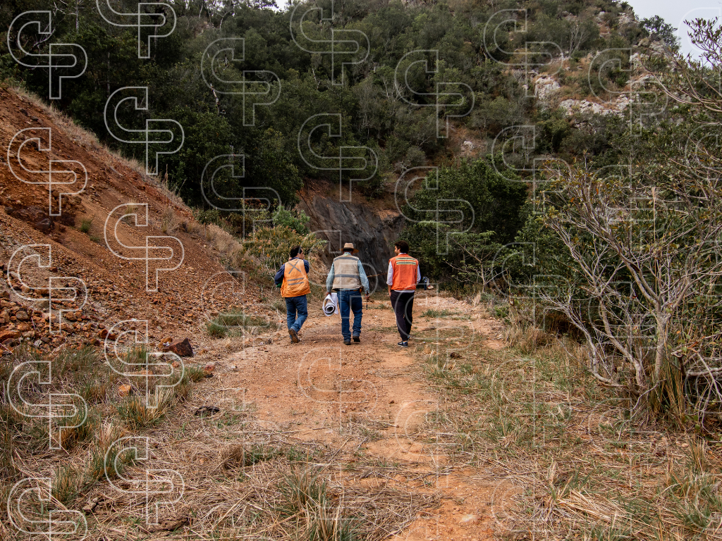 Field exploration group walking along a rough dirt track between exposed rock and dense vegetation.